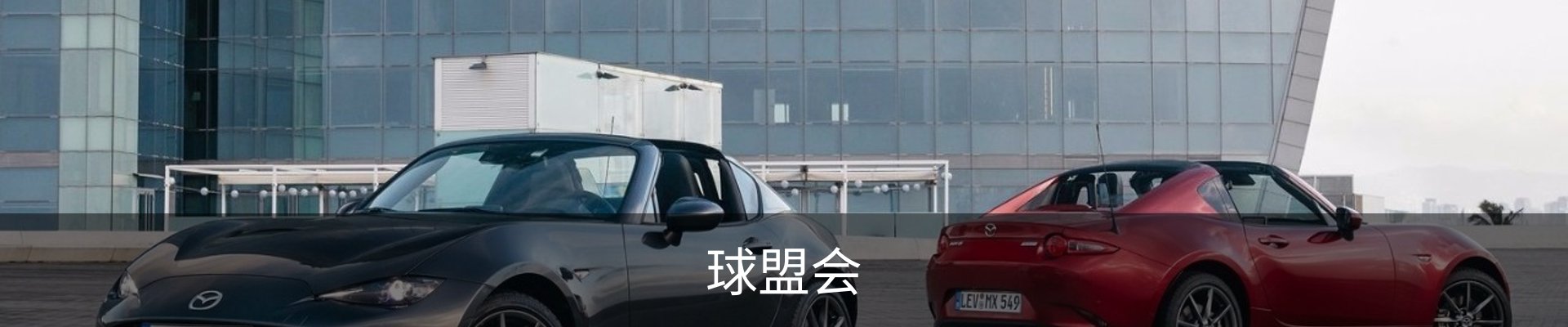 球盟会